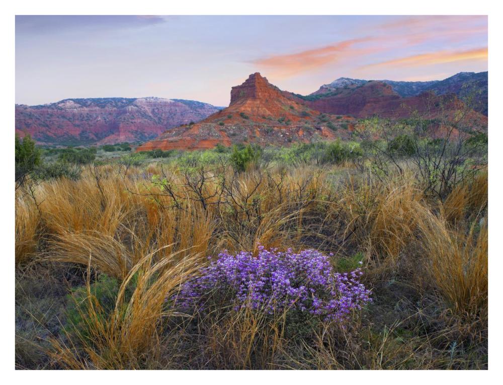 Caprock Canyons State Park, Texas-Paper Art-34X26