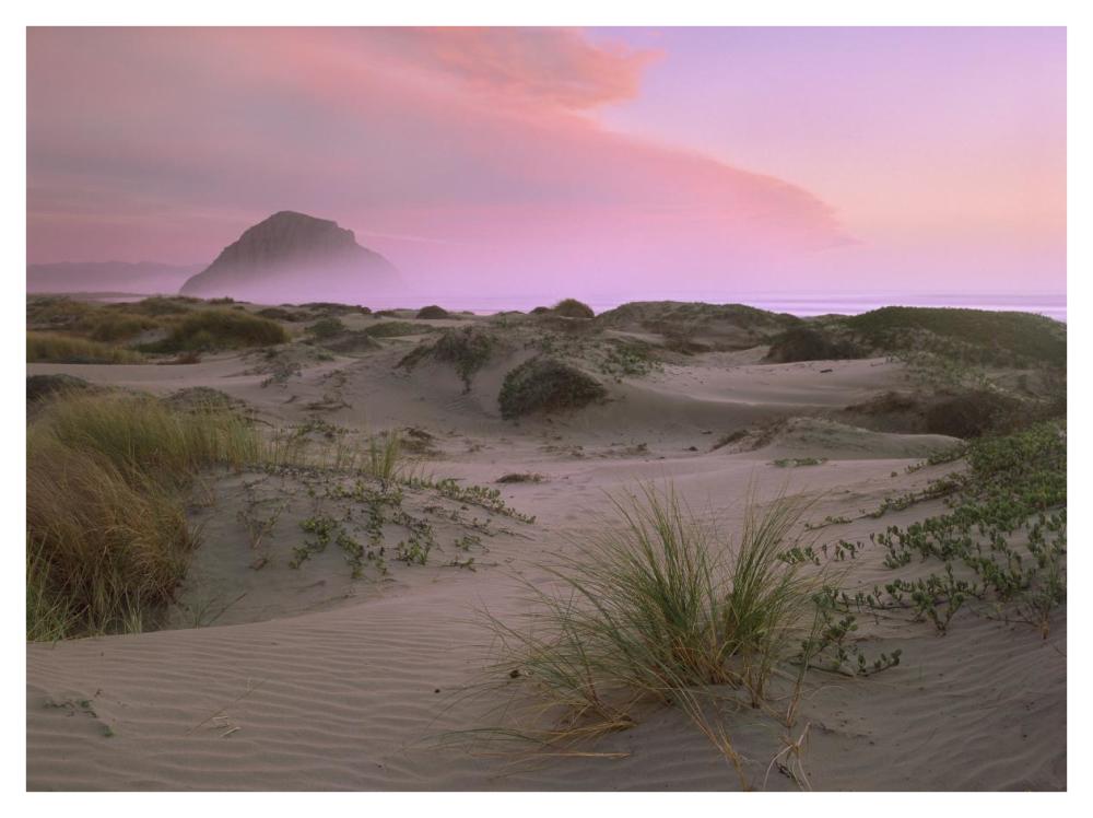 Morro Rock At Morro Bay, California-Paper Art-42X32