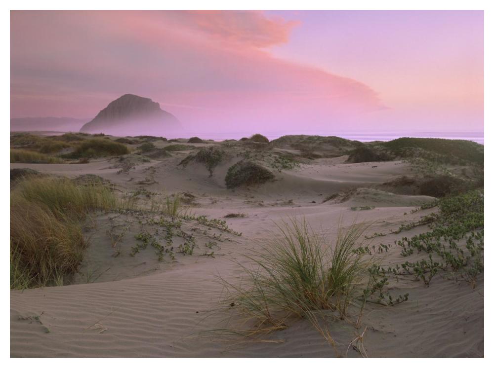Morro Rock At Morro Bay, California-Paper Art-50X38