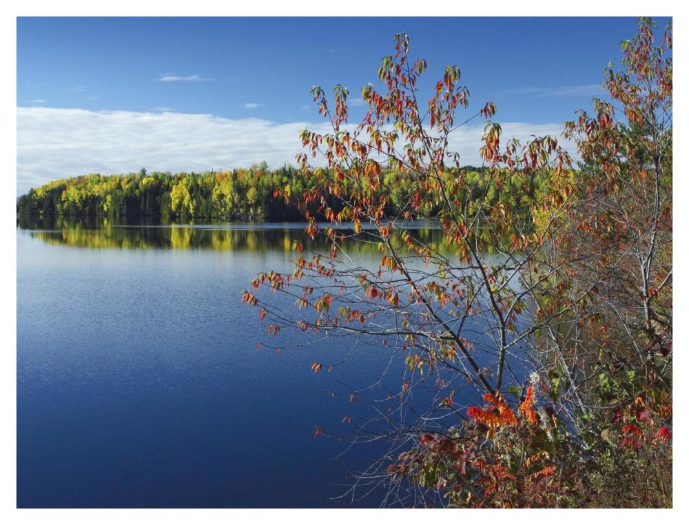 Tobique River, New Brunswick, Canada-Paper Art-42X32