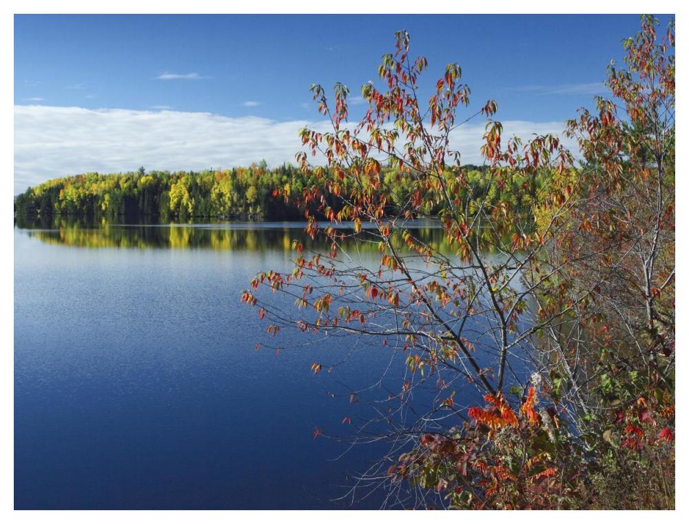Tobique River, New Brunswick, Canada-Paper Art-50X38