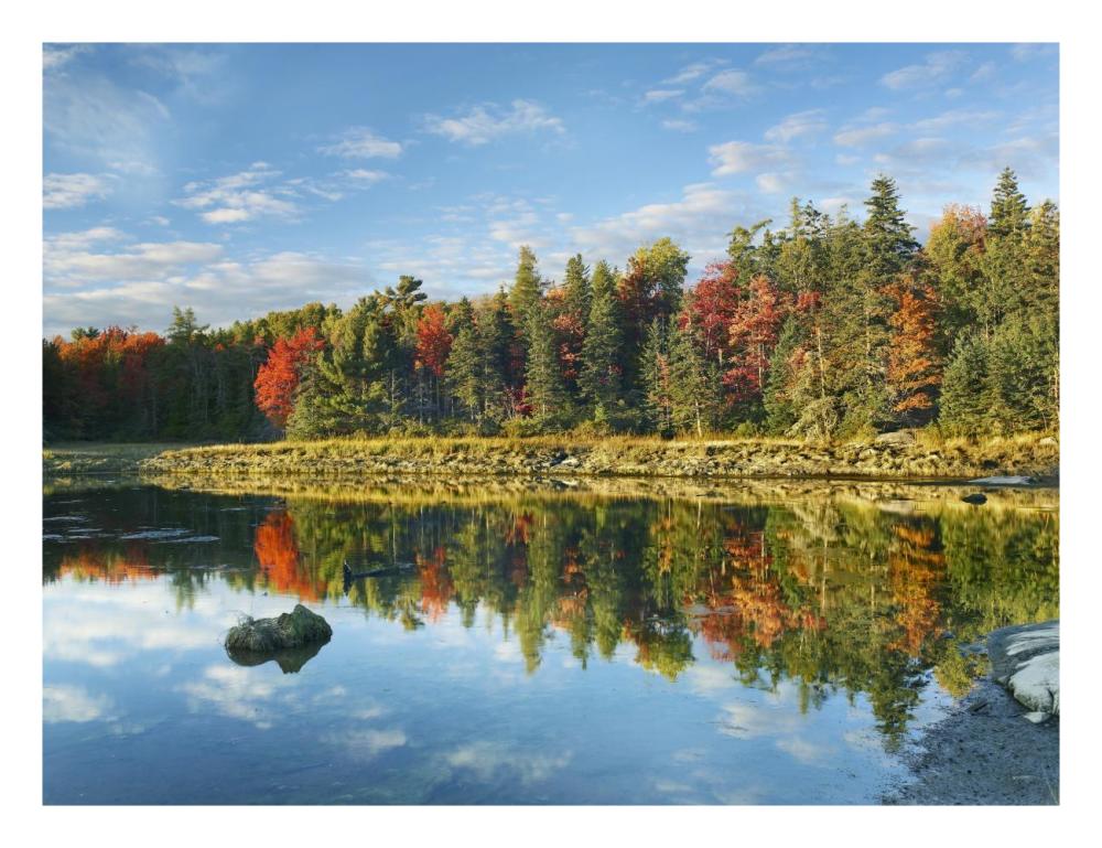 Coastline, Mount Desert Island, Maine-Paper Art-26X20
