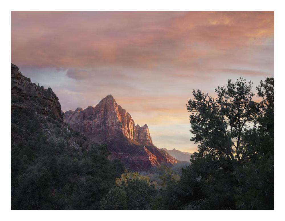 The Watchman, Zion National Park, Utah-Paper Art-26X20