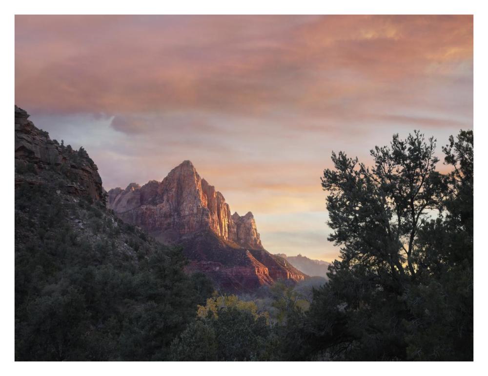 The Watchman, Zion National Park, Utah-Paper Art-34X26
