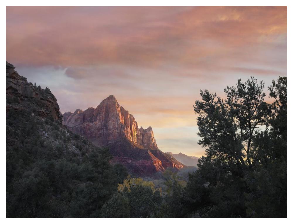 The Watchman, Zion National Park, Utah-Paper Art-50X38
