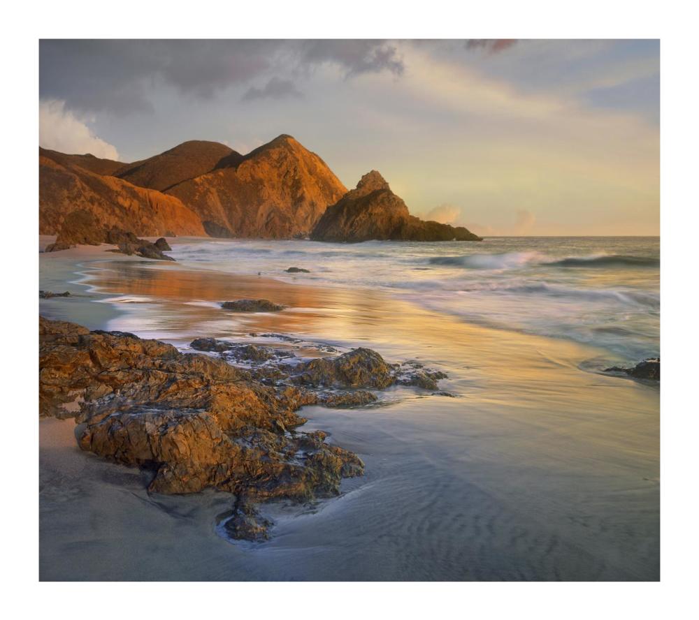 Bean Hollow Beach, Big Sur, California-Paper Art-18X16.08