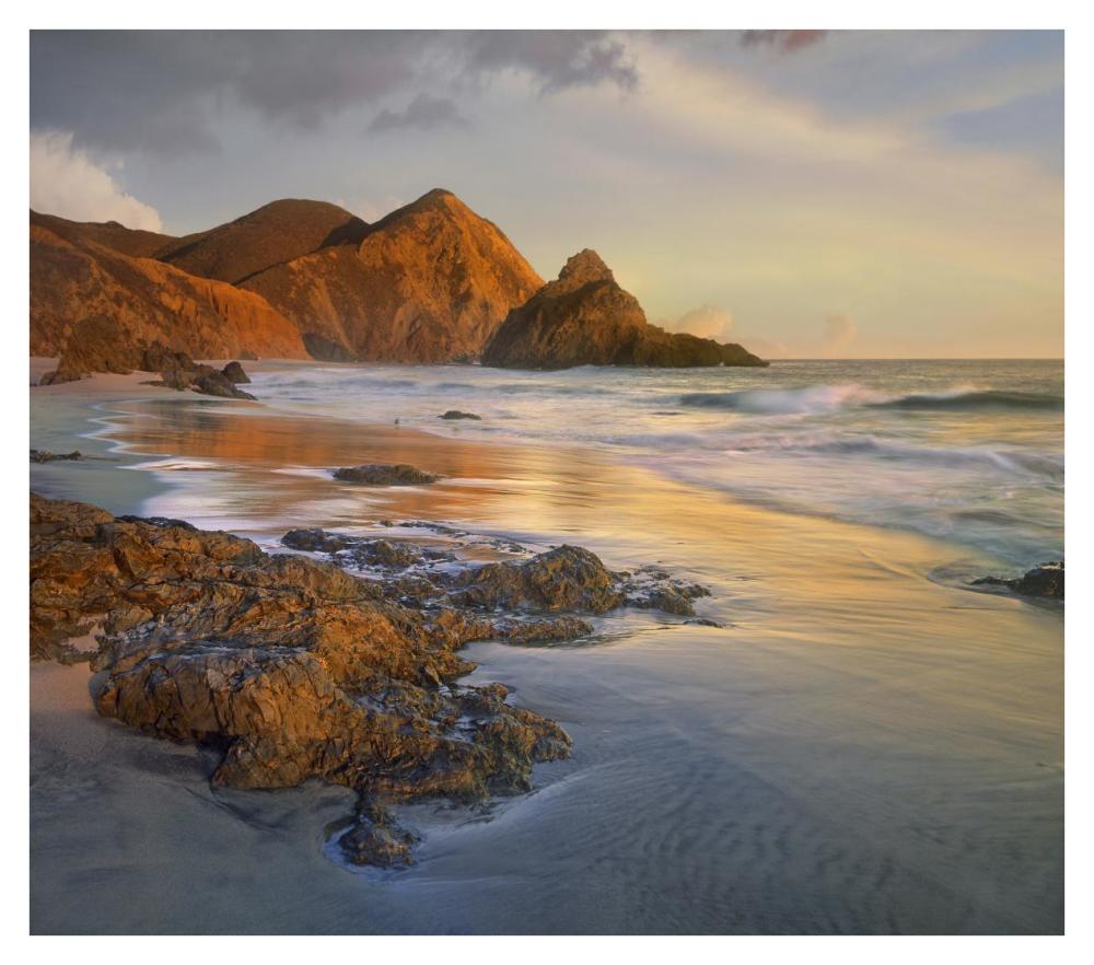 Bean Hollow Beach, Big Sur, California-Paper Art-38X33.68