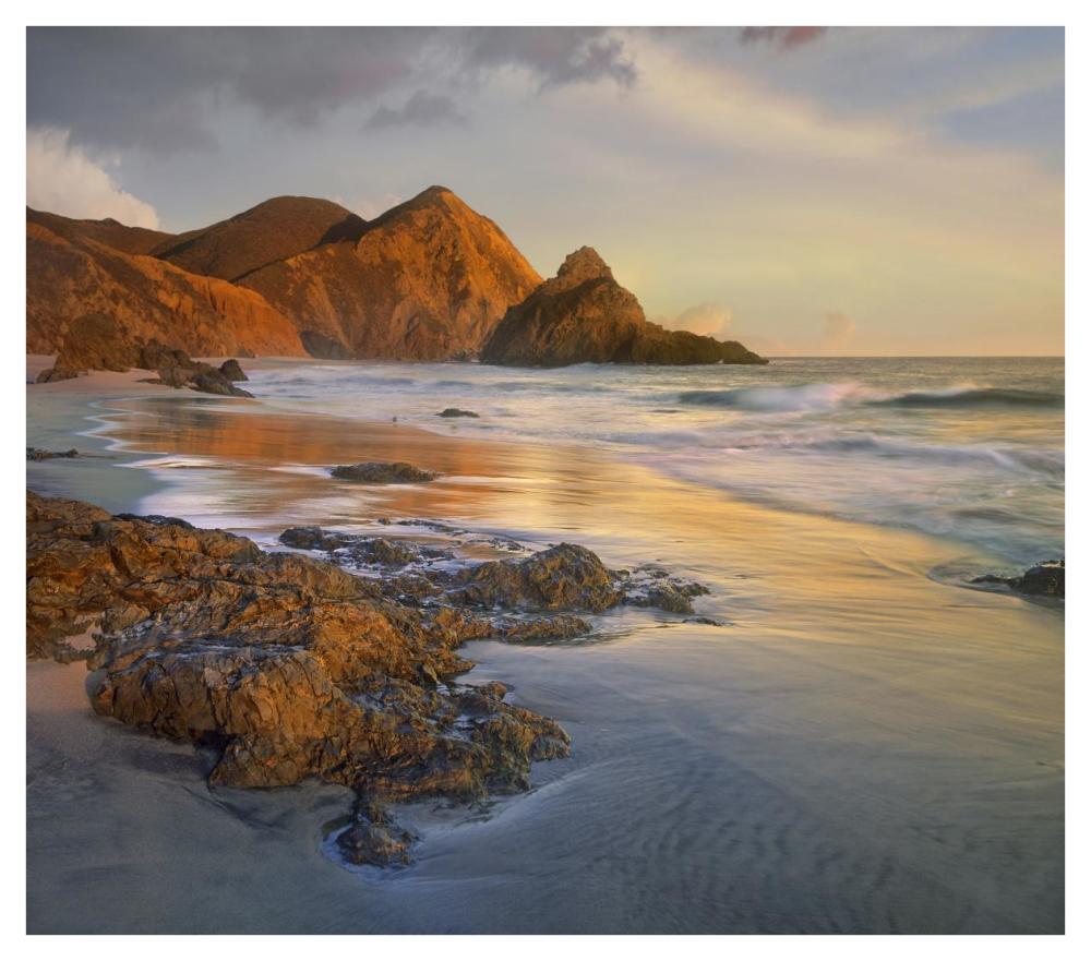 Bean Hollow Beach, Big Sur, California-Paper Art-42X37.2