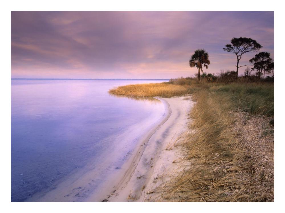 Beach Along Saint Joseph'S Bay, Florida-Paper Art-26X20