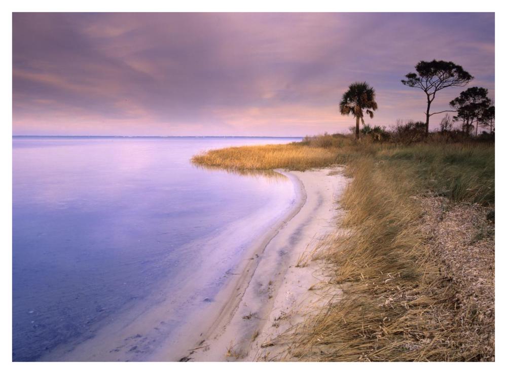 Beach Along Saint Joseph'S Bay, Florida-Paper Art-42X32