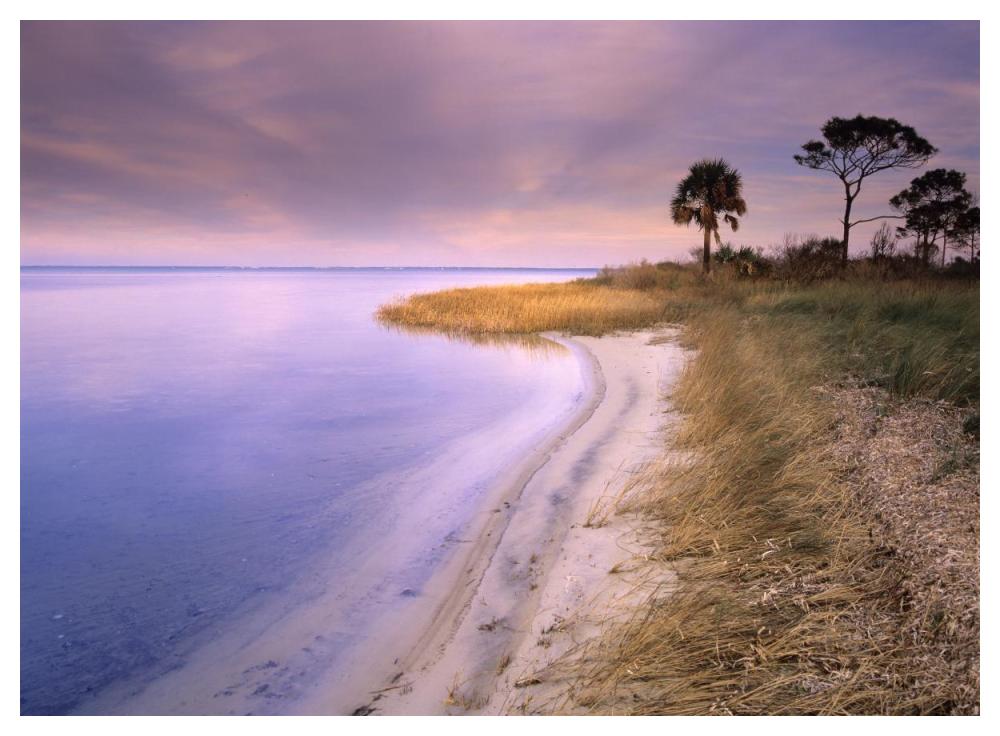 Beach Along Saint Joseph'S Bay, Florida-Paper Art-50X38