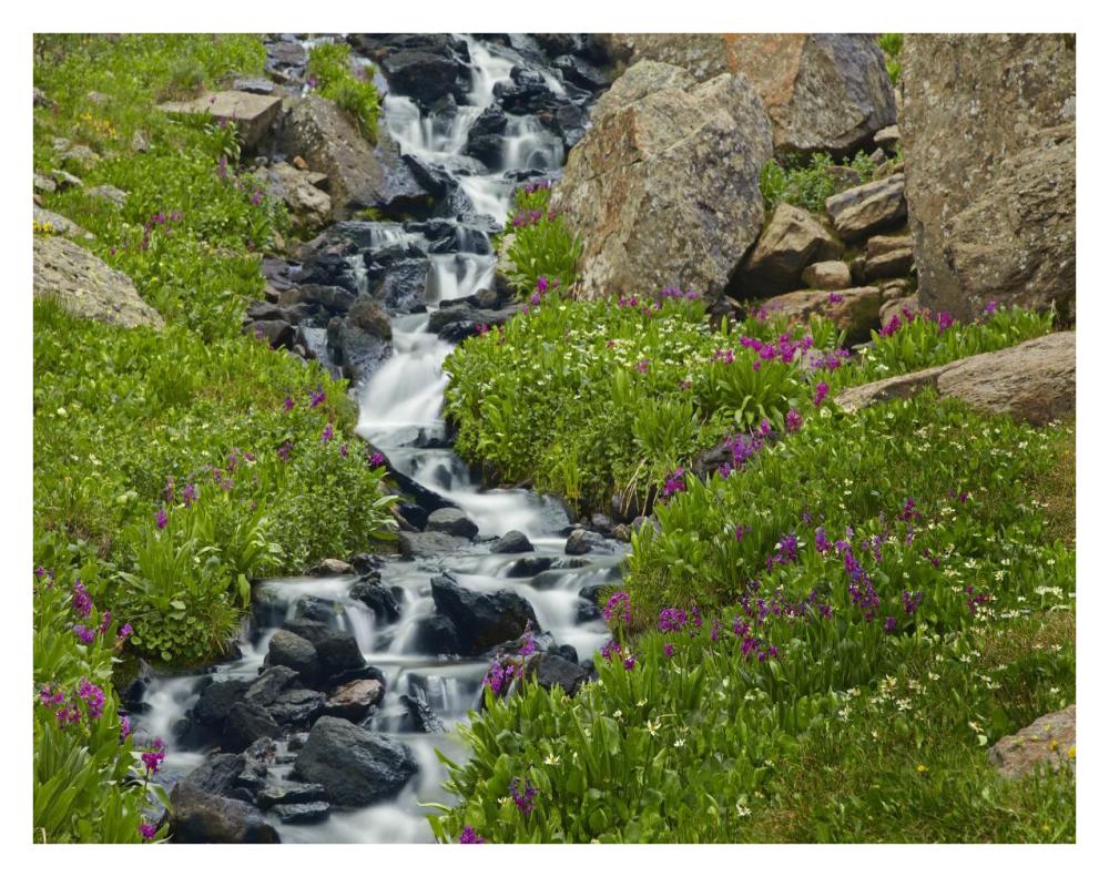 Porphyry Creek Near Silverton, Colorado-Paper Art-34X26