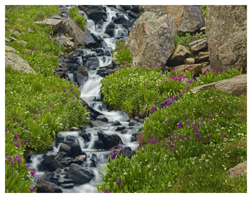 Porphyry Creek Near Silverton, Colorado-Paper Art-50X38