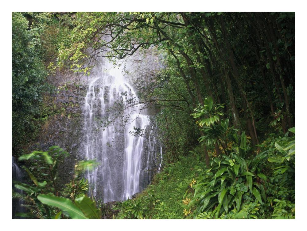 Waterfall Along Hana Coast, Maui, Hawaii-Paper Art-26X20
