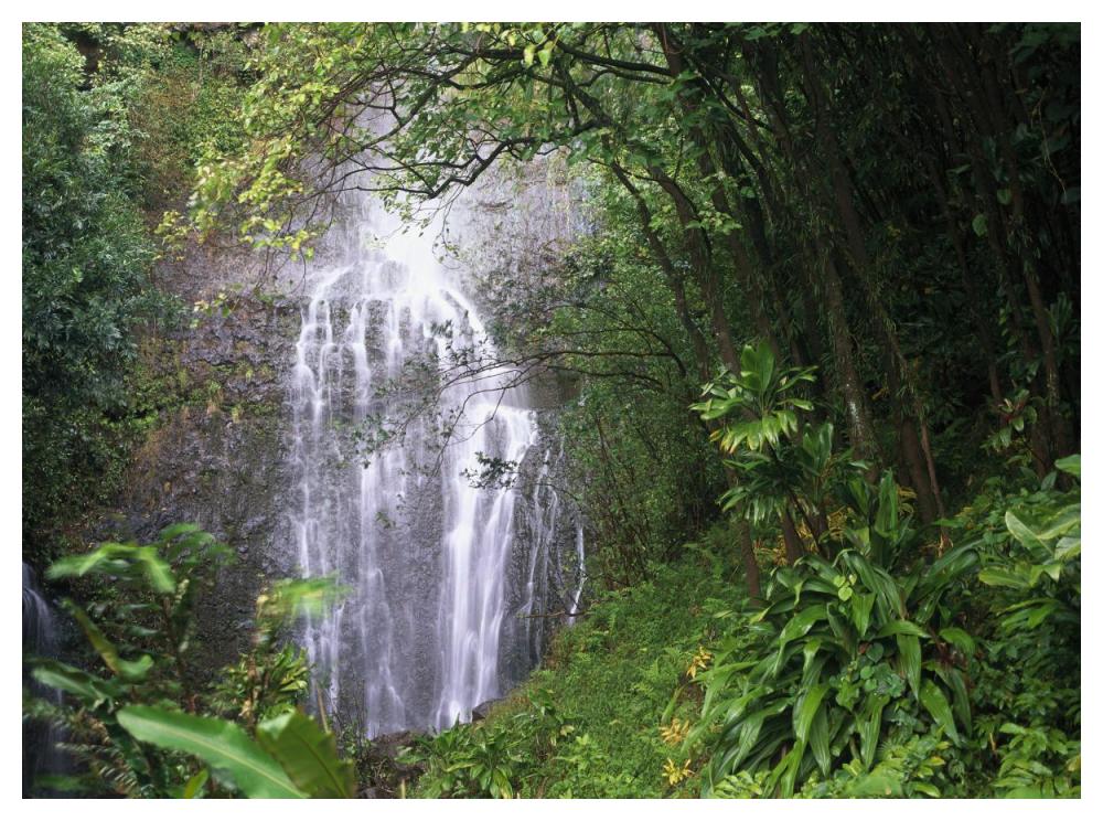 Waterfall Along Hana Coast, Maui, Hawaii-Paper Art-50X38