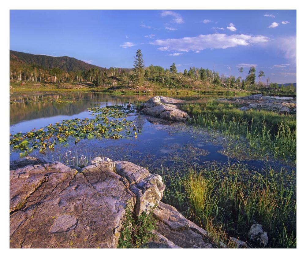 Scout Lake, San Juan Mountains, Colorado-Paper Art-32X26.9