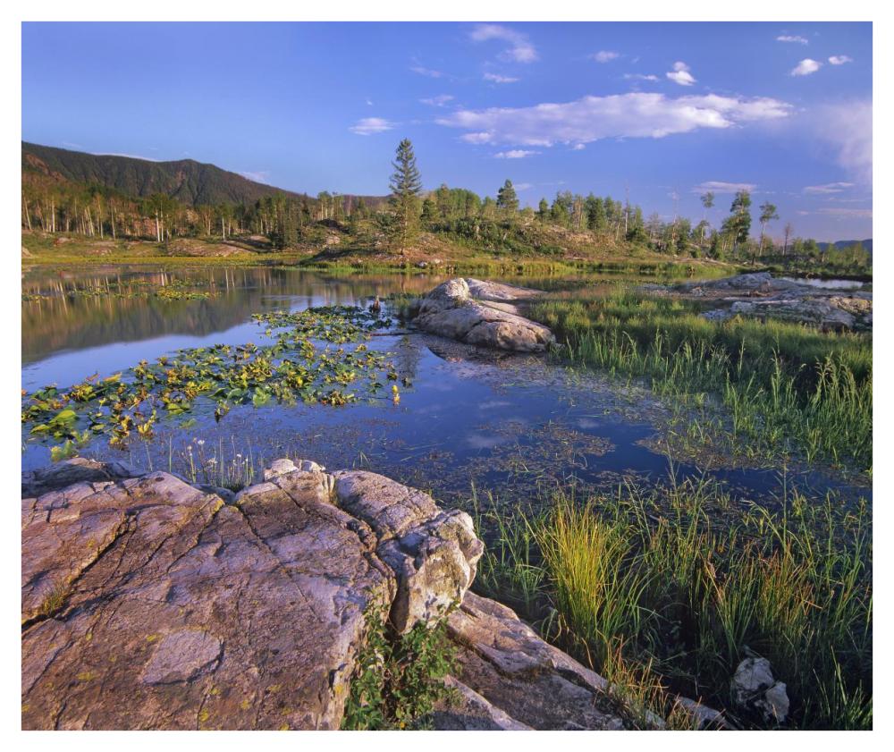 Scout Lake, San Juan Mountains, Colorado-Paper Art-42X35.2