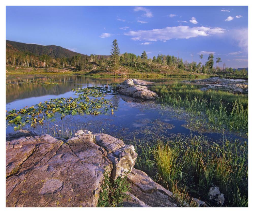 Scout Lake, San Juan Mountains, Colorado-Paper Art-46X38.52