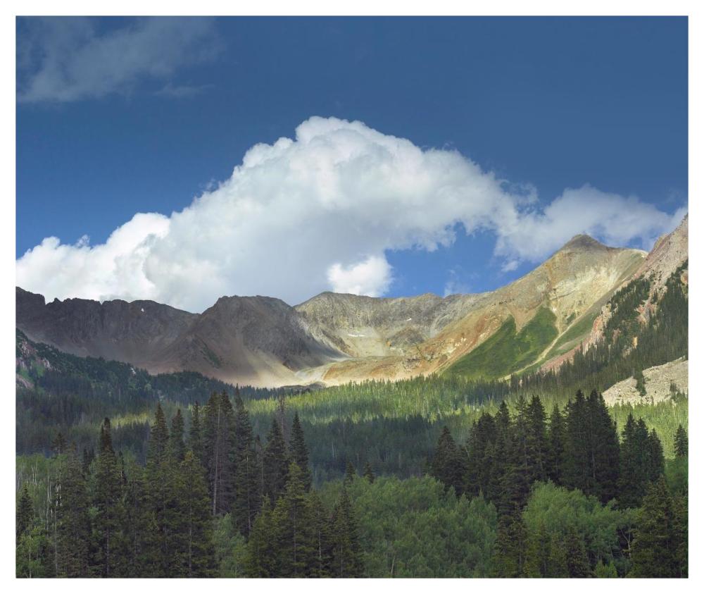Elk Mountains Near Crested Butte, Colorado-Paper Art-46X38.96