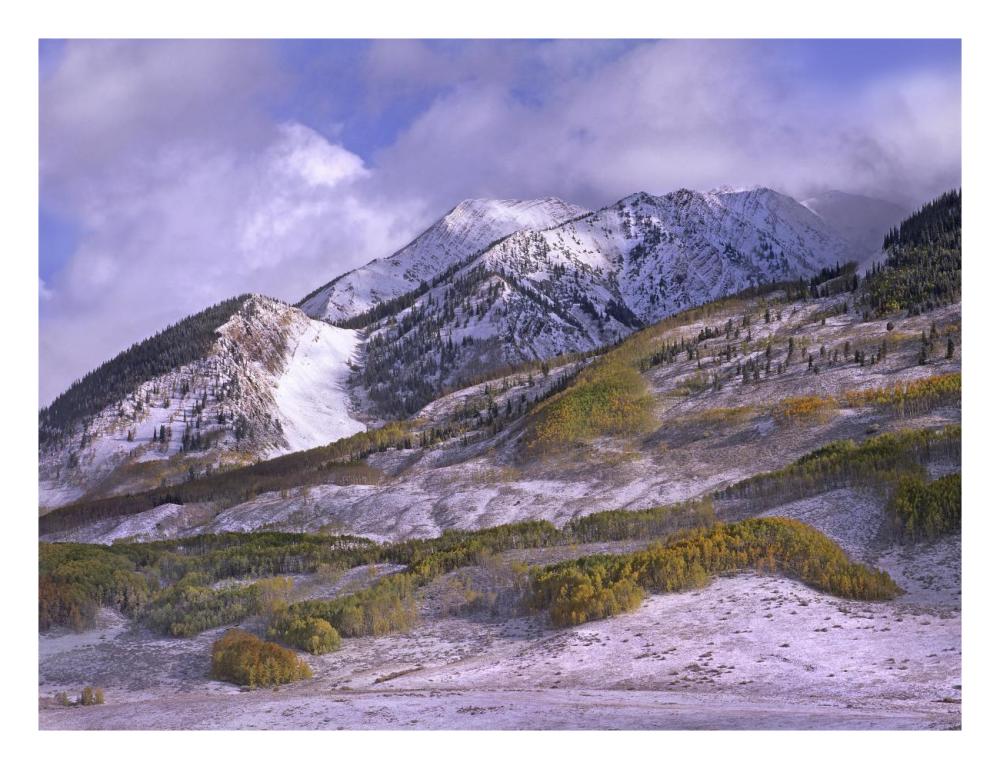 Elk Mountains With Snow In Autumn, Colorado-Paper Art-26X20
