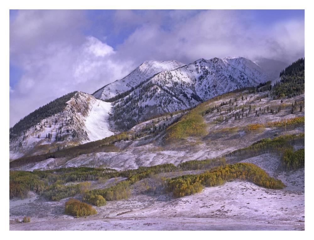 Elk Mountains With Snow In Autumn, Colorado-Paper Art-34X26