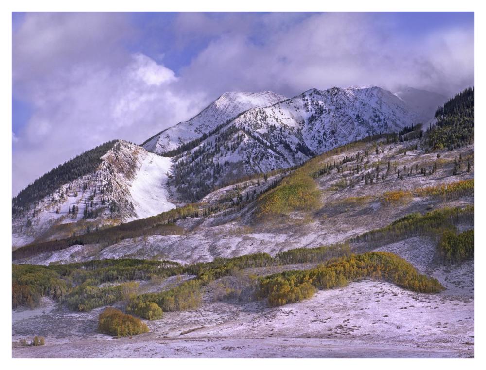 Elk Mountains With Snow In Autumn, Colorado-Paper Art-42X32