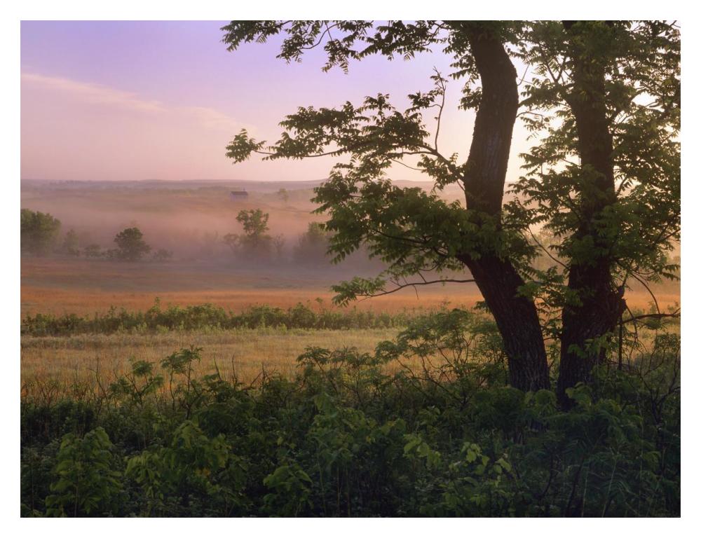 Tallgrass Prairie National Preserve, Kansas-Paper Art-18X14