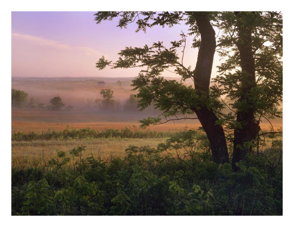 Tallgrass Prairie National Preserve, Kansas-Paper Art-26X20