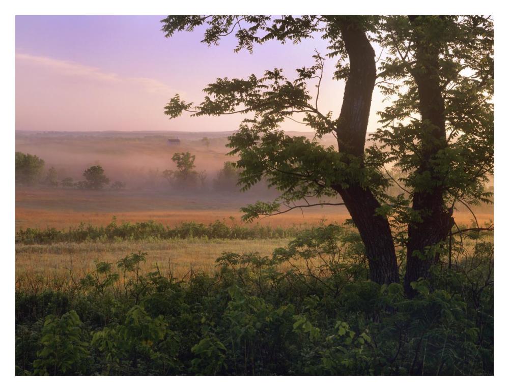Tallgrass Prairie National Preserve, Kansas-Paper Art-34X26
