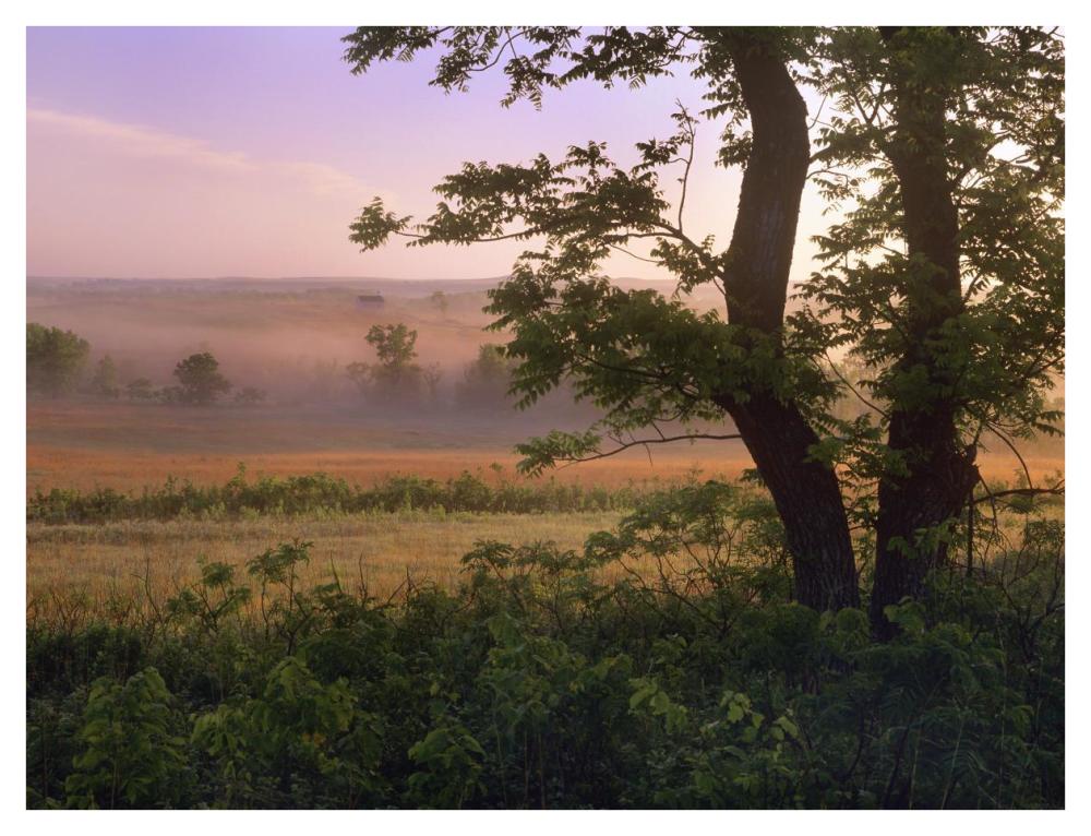 Tallgrass Prairie National Preserve, Kansas-Paper Art-42X32