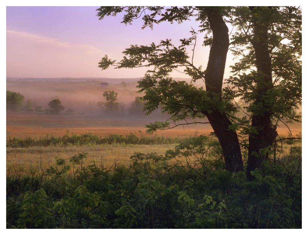 Tallgrass Prairie National Preserve, Kansas-Paper Art-50X38