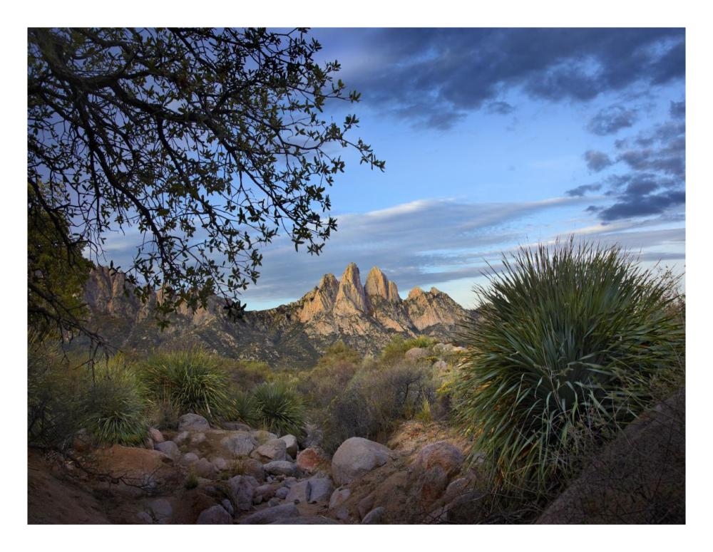 Organ Mountains Near Las Cruces, New Mexico-Paper Art-26X20