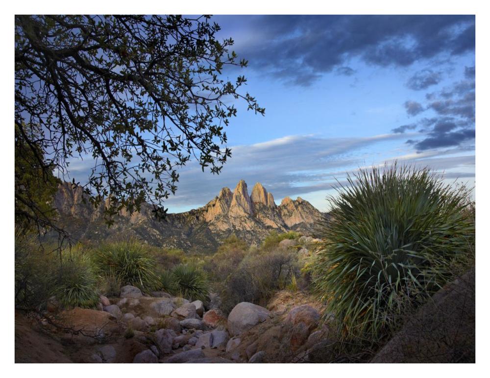 Organ Mountains Near Las Cruces, New Mexico-Paper Art-34X26