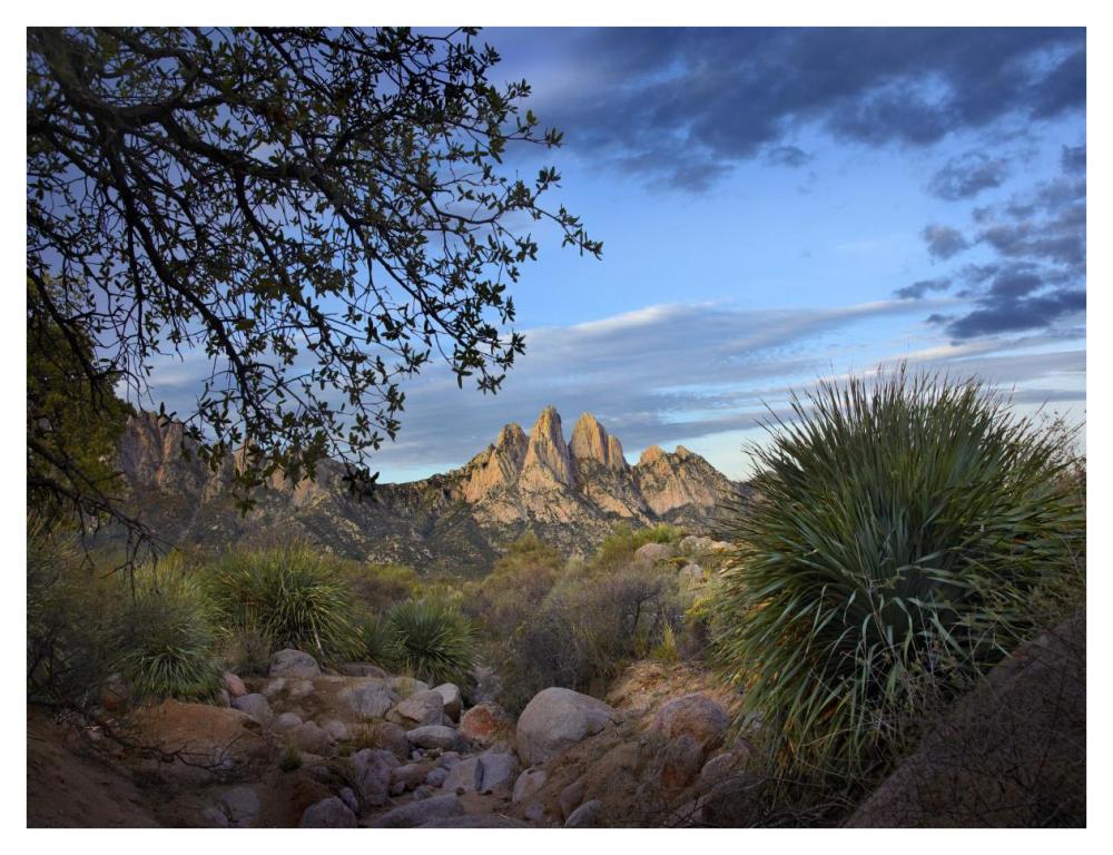 Organ Mountains Near Las Cruces, New Mexico-Paper Art-42X32