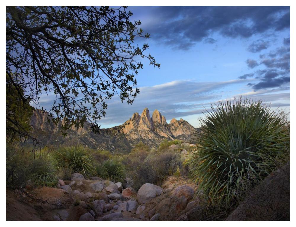 Organ Mountains Near Las Cruces, New Mexico-Paper Art-50X38