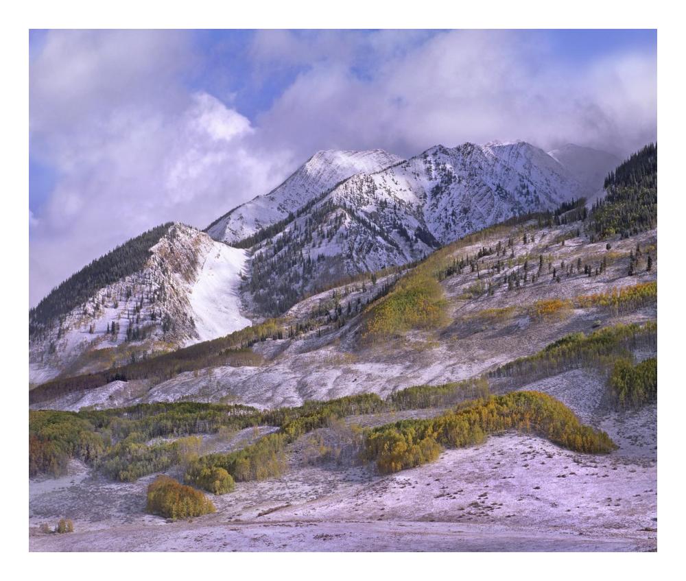 Elk Mountains With Snow In Autumn, Colorado-Paper Art-24X20.26