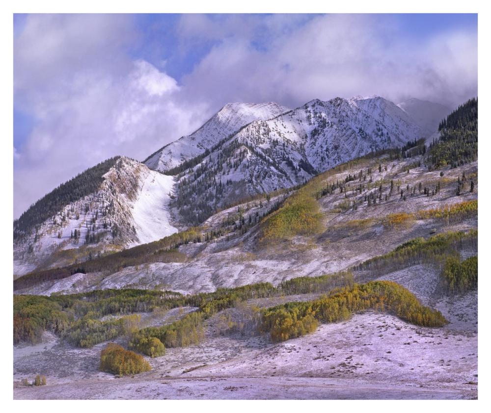 Elk Mountains With Snow In Autumn, Colorado-Paper Art-38X31.88