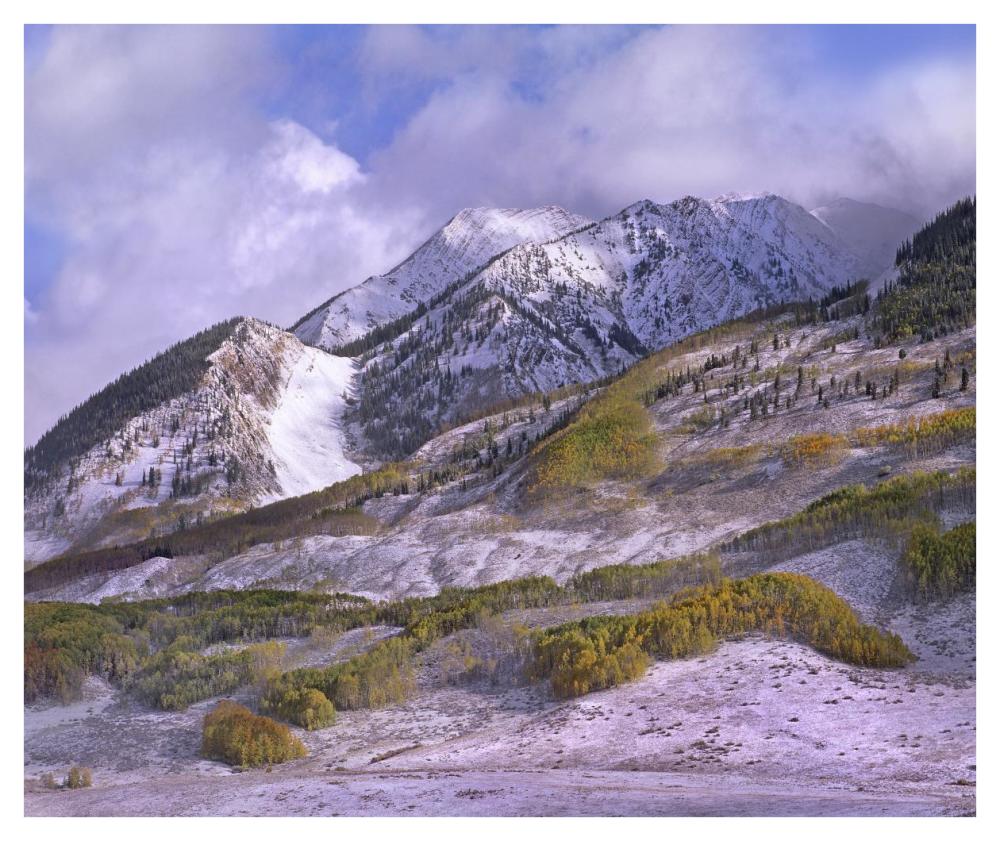 Elk Mountains With Snow In Autumn, Colorado-Paper Art-42X35.2