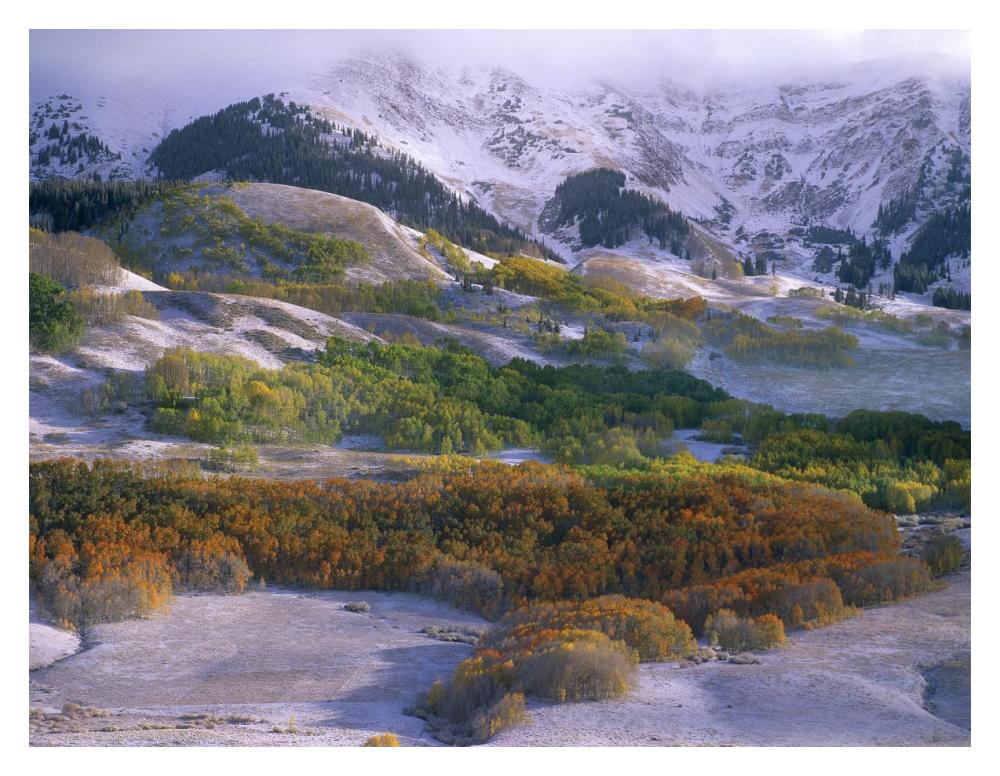 Elk Mountains With Dusting Of Snow, Colorado-Paper Art-18X14