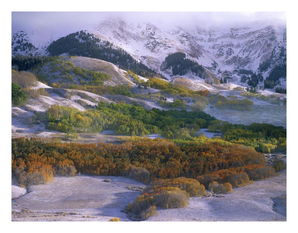 Elk Mountains With Dusting Of Snow, Colorado-Paper Art-26X20