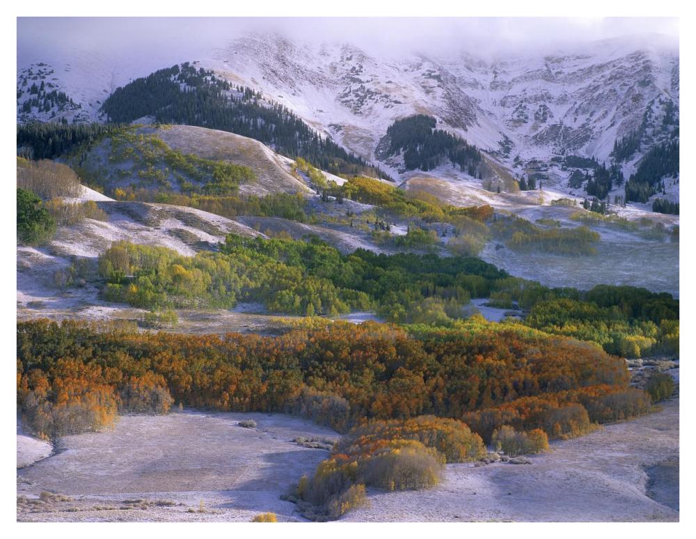 Elk Mountains With Dusting Of Snow, Colorado-Paper Art-42X32
