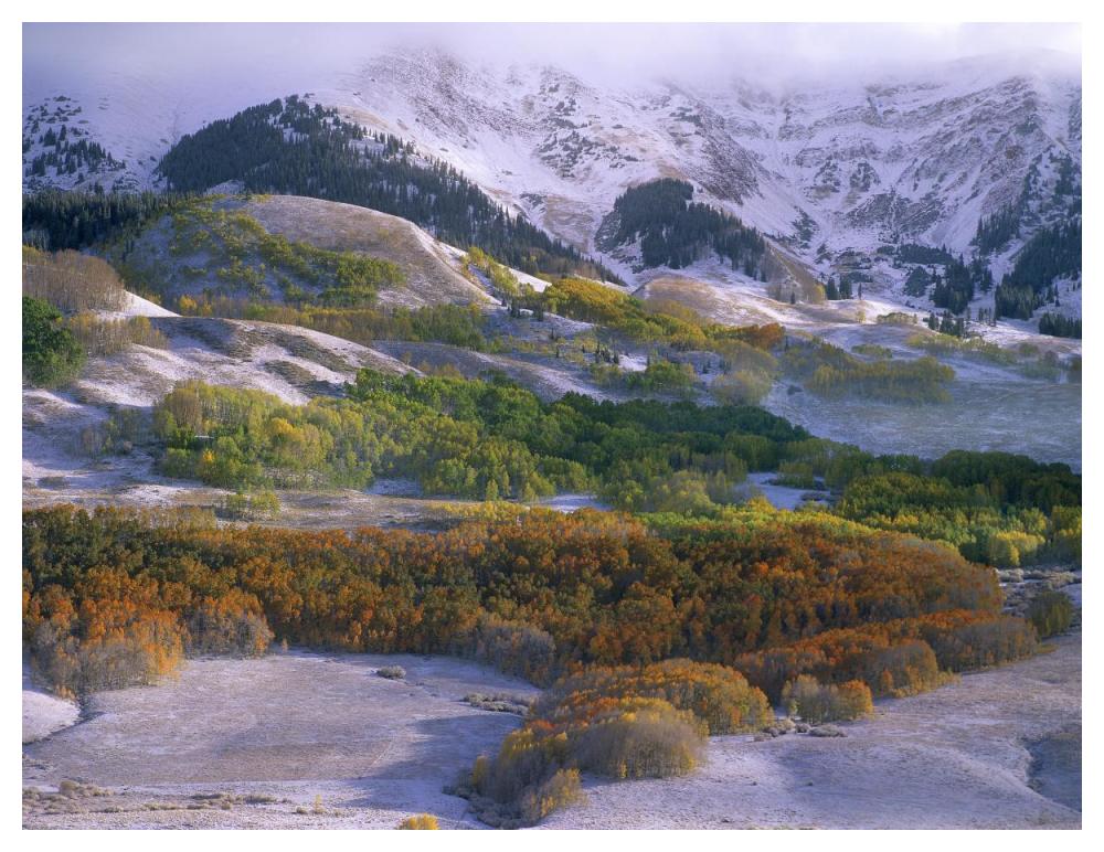Elk Mountains With Dusting Of Snow, Colorado-Paper Art-50X38