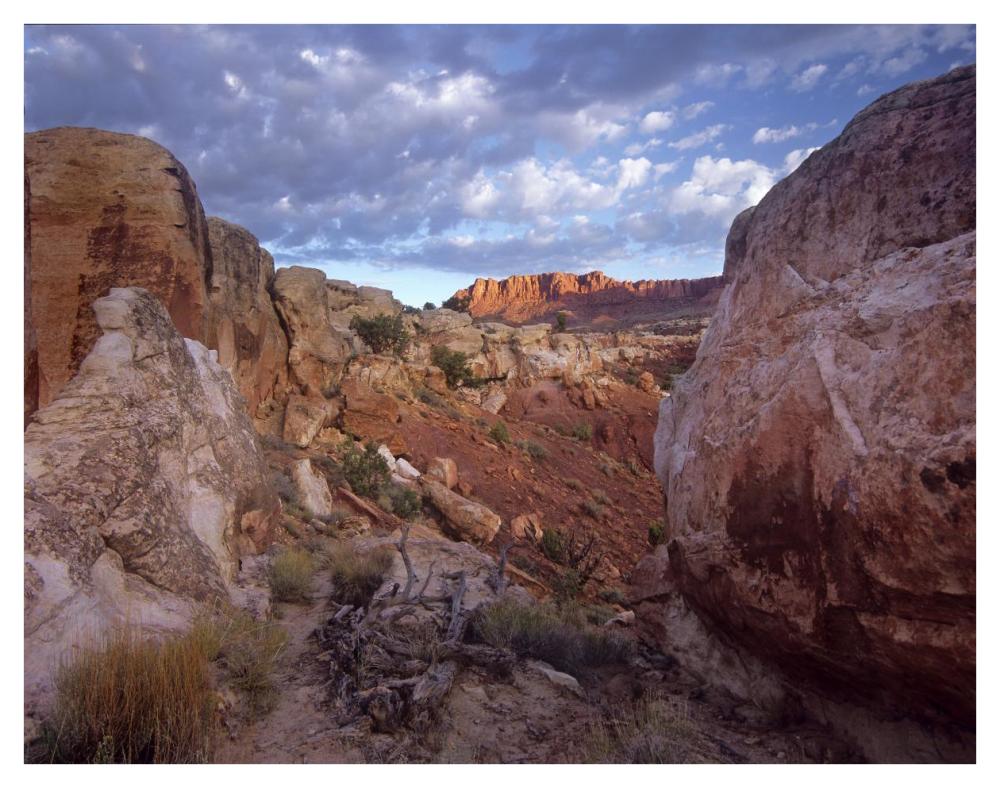 Meeks Mesa, Capitol Reef National Park, Utah-Paper Art-42X32