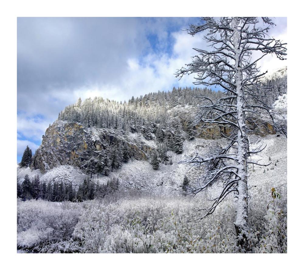 Light Snow Covering Boulder Mountains, Idaho-Paper Art-18X16.08