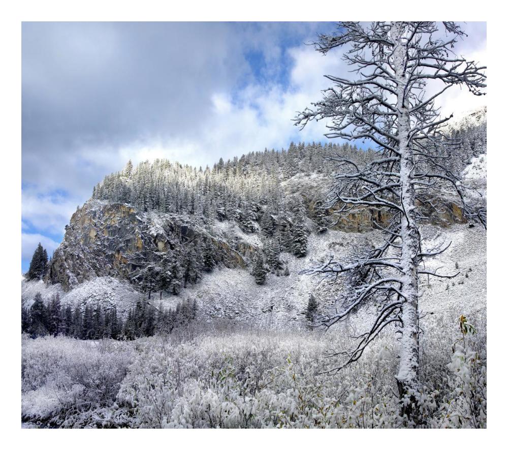 Light Snow Covering Boulder Mountains, Idaho-Paper Art-24X21.36