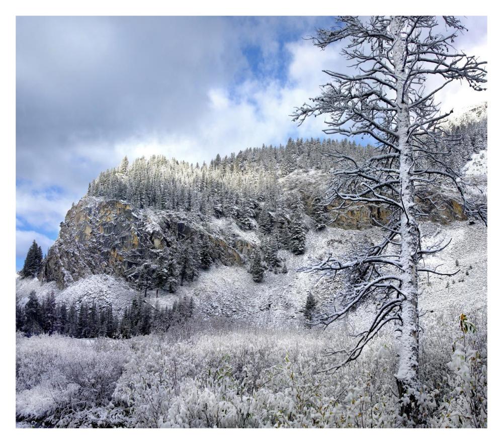Light Snow Covering Boulder Mountains, Idaho-Paper Art-32X28.4