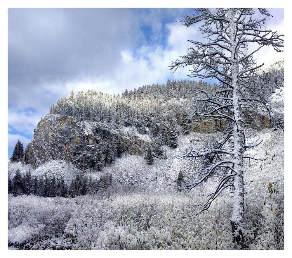 Light Snow Covering Boulder Mountains, Idaho-Paper Art-38X33.68