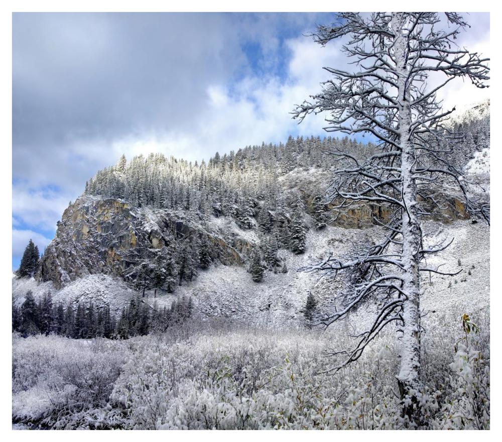 Light Snow Covering Boulder Mountains, Idaho-Paper Art-42X37.2