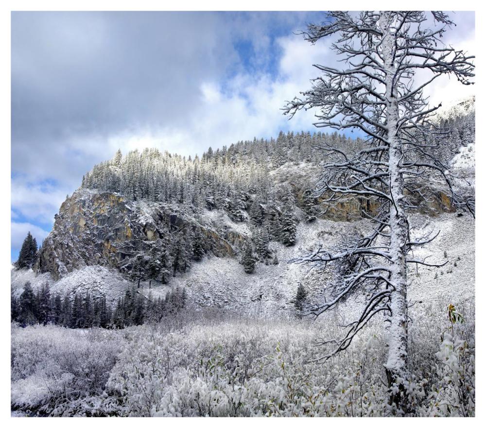 Light Snow Covering Boulder Mountains, Idaho-Paper Art-46X40.72