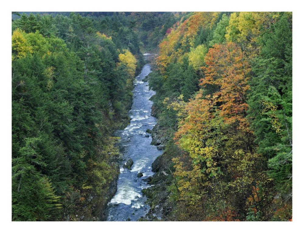 Ottauquechee River And Quechee Gorge, Vermont-Paper Art-26X20